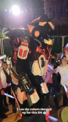 לעבעדיג ביי א בר מצוה 