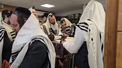 וואס טוט זיך אלץ אפ אין ניקלשבורג 