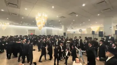 הערשי לאנגזאם, קלמי שווארץ, חתונה 🔥
