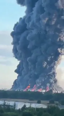 א שווערער קלאפ פאר די רוסישע עקאנאמיע: די פינפטע 'וויילד-בעריס' (Wildberries) ווערעהאוז איז שוין באטראפן געווארן זינט דעם 18'טן יולי נעבן סעינט פעטערבורג.
