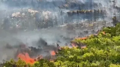 וואלד פייערן באדראען די סובורבס פון אטען בשעת פייערלעשער קעמפן קעגן די שווערע ווינטן.