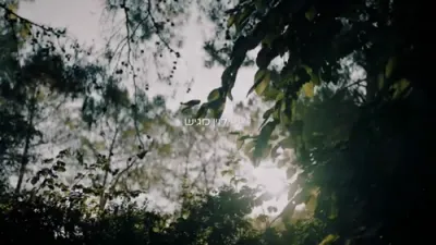 שמוליק סוכות, אהרלה נחשוני, נשמה - החופה