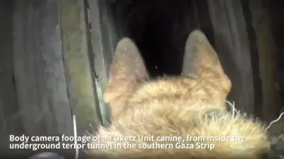 זעט: א צה"ל הונט פון די אוקץ איינהייט פירט אן די אקציע ווי קרעפטן פארניכטן א ראקעטן טונעל אין עזה.
