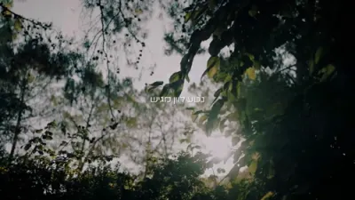שמוליק סוכות, אהרלה נחשוני, נשמה - החופה