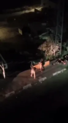 כאאס אין חברון: סאלדאטן עפענען פייער נאך וואס ראיאטירער האבן פרובירט צו פארכאפן א וואפן.