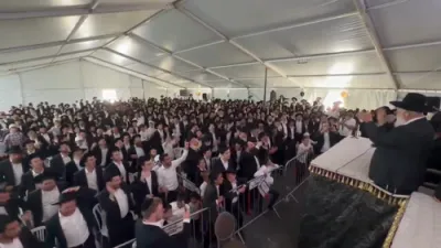 ווערט באמערקט ליווישע בחורים טאנצן עוצו עצה מיט א אוסערגעווענליכע התרגשות נאך די שטייגענדע רדיפות וואס זיי באקומען פון די ציונית'טישע רעגירונג.