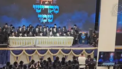 פרישע ווידיע גאלעריע פון די מעמד 'מקדישי שמך' אין בית מדרש גור אין פון כ"ק אדמו"ר מוויזניץ מרכז שליט"א.