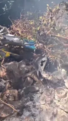 טראגעדיע אין קעניע: פינף אמעריקאנער בירגער אומגעקומען אין א העליקאפטער קראך.