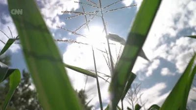 סי-ען-ען צוטריט אנטפלעקט: אוקריינער פאטריאט סיסטעם שטייט ליידיג מיט 0 מיסילס.