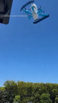 דעליווערי דורכפאל: עמעזאן דראון לאזט פאלן א פעקל גלייך אריין אין א האט טאב