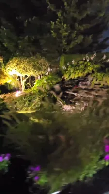 שארטס פונעם טאג