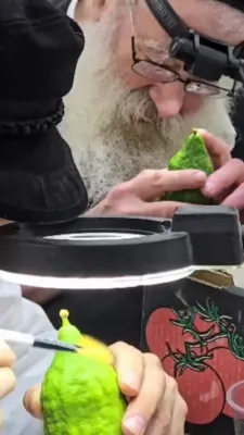 באקוקן אתרוגים
