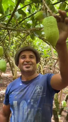 באקוקן אתרוגים