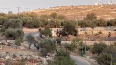 אידישע מתיישבים רייסן אריין אינעם אראבישן דארף 'בורקא' אין די שטחים; א פרוי און א קינד לויט באריכטן פארוואונדעט