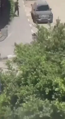 ווידעא צייגט דעם מאמענט ווי דער הויפט פון די חאמאס אינערליכע זיכערהייט ווערט געכאפט לעבעדיג ביי א ספעציעלע אפעראציע אין עזה
