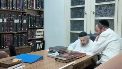 ווידעא פון שטוב פון הגאון ר' דוב לאנדא שליט"א ציט אויפמערקזאמקייט אינמיטן די שטורעם איבער אן ארטיקל אין יתד נאמן