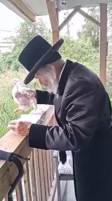 אוהבן של ישראל ניקלשבורגער רבי ביים פארצייען כלל ישראל'ס פּשעים מיט מנהג כפּרות.