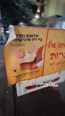היימישע סצענעס פונעם היינטיגע טאג