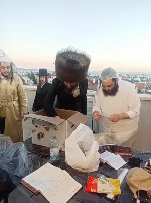 פלאן אהעד שטעלט צו פריוואטע כפרות שלאגן, כיסוי הדם, גרייט אן פאר זייערע קליענטן לכבוד סוכות