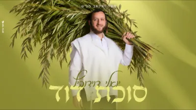 סוכת דוד - יואלי דאווידאוויטש