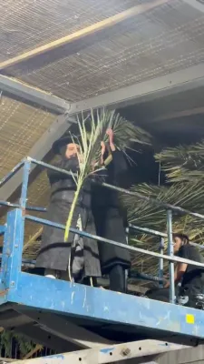 כ"ק אדמו"ר מקרעטשניף כפר עטה שליט"א ביים לייגן דעם סכך אויף דער ריזיגער סוכה