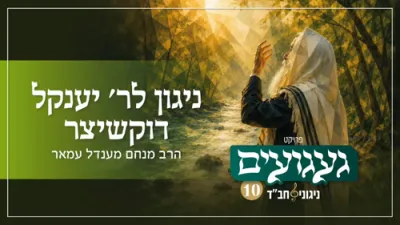 ניגון ר' יאנקל דוקשיצער | הרב מנחם מענדל עמאר | געגועים 10