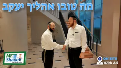 ברוקלינ'ס בעסטע ווינדאו שעיד קאמפאני #onsitewithari הערשי שפירא | אידיש