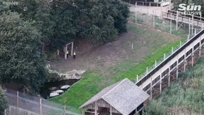 רעטונגס קרעפטן יאגן זיך צו א זאא: א מעדיקעל העליקאפטער און פאליציי פארפלייצן דעם דאנקאסטער וויילדלייף פארק