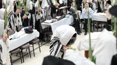 "אז ירננו כל עצי יער": די געהויבענע עבודת הנענועים פון כ"ק האדמו"ר מתולדות יהודה שליט"א &ndash; סוכות תשפ"ז