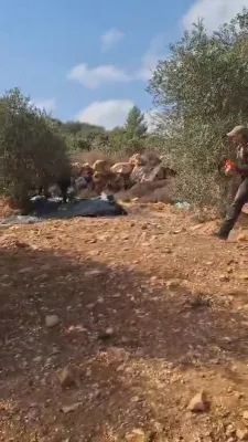 שטרייט איבער די שניט: מדינת ישראל באצייכנט עס אלס אומלעגאל, בעת קריטיקירער פארטיידיגן די אקטיוויסטן
