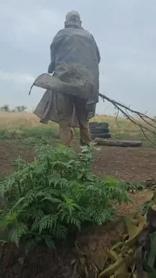 שטעקנס קעגן דראונס: אן אינטערסאנטע ווידעא צייגט ווי פארשטעלטע סאלדאטן קלאפן אראפ דראונס פון הימל