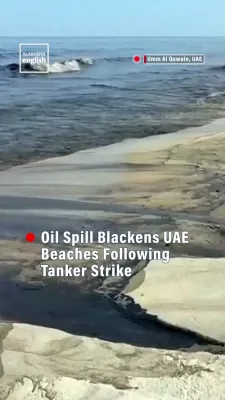 אויל פאלושען: ביטשעס אין די פאראייניגטע אראבישע עמיראטן פארמאכט נאכדעם וואס פארפעסטיגטע וואסער האט זיך ארויסגעשוועמט צום בארטן נאך א טאנקער אטאקע