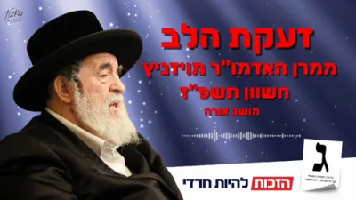 הייס - געבעהט פון כ"ק אדמו"ר מוויזניץ שליט"א ארויסצוגיין שטומען פאר אגודת ישראל  