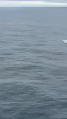 שווארצע ים אטאקע: ים דראונס האבן אטאקירט און געזינקען א מדינת ישראל-פארבונדענע קארגא שיף נעבן בולגאריע