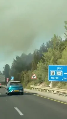 מאסיווע וואלד פייער ווילדעוועט אין בן שמן וואלד אין צענטראל ארץ ישראל און סטראשעט הויפט הייוועיס