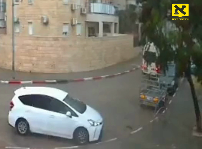 ניסים האט פאסירט אין ארץ ישראל ווען א  בוים איז גע