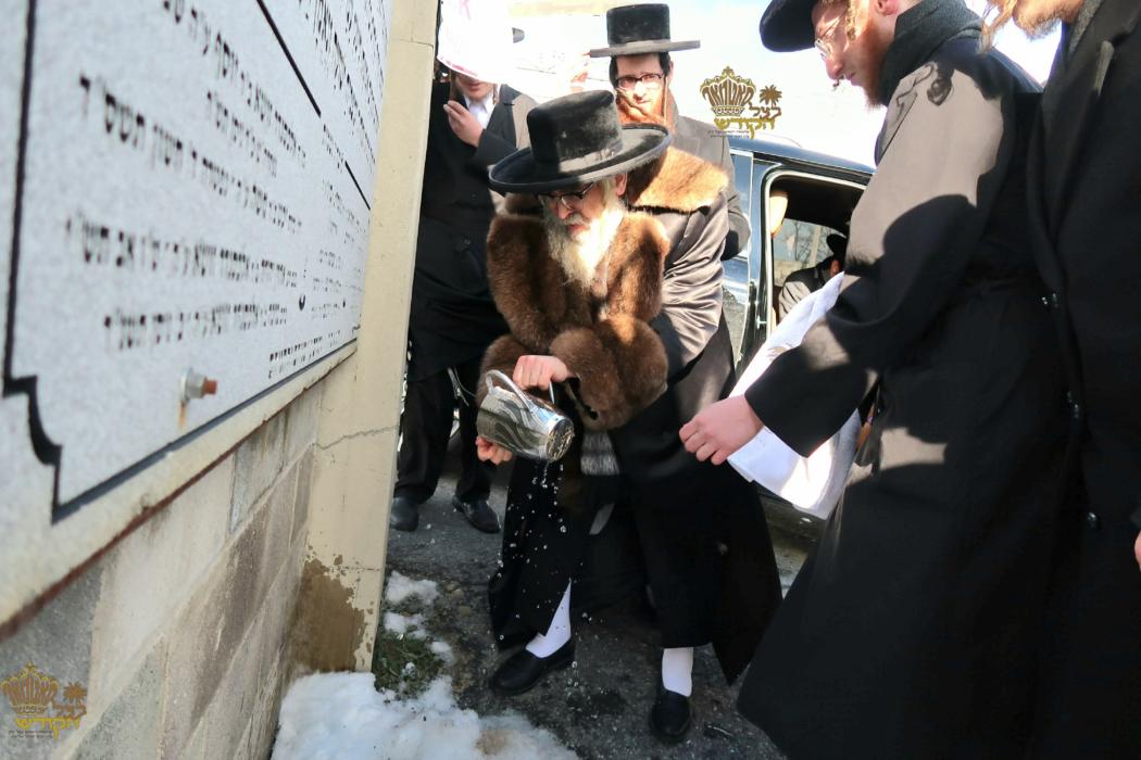 🌴בצל הקודש🌴 
רבינו שליט"א ביים פוקד זיין די ציונים