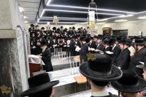 🌴בצל הקודש🌴 
רבינו שליט"א ביים פוקד זיין די ציונים