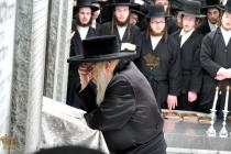 🌴בצל הקודש🌴 
רבינו שליט"א ביים פוקד זיין די ציונים