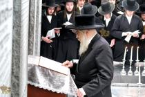 🌴בצל הקודש🌴 
רבינו שליט"א ביים פוקד זיין די ציונים