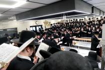 🌴בצל הקודש🌴 
רבינו שליט"א ביים פוקד זיין די ציונים