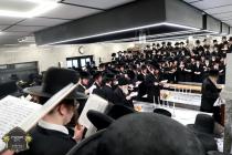 כ''ק רבינו הגה''ק שליט"א ביים פוקד זיין די ציונים 