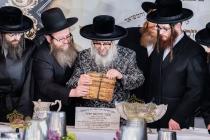 🌴 בצל הקודש 🌴
רבינו שליט"א ביי תפילת מנחה און דערנ