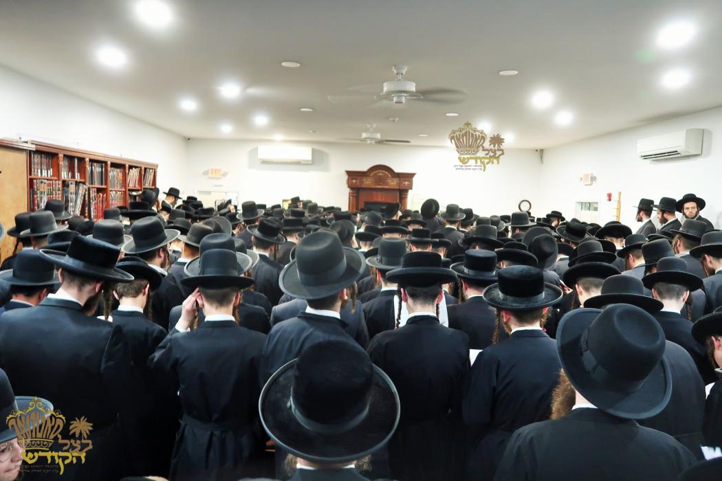🌴בצל הקודש🌴
רבינו שליט"א ביי תפילת מעריב און הבדלה