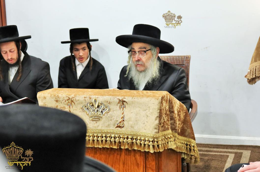 🌴בצל הקודש🌴
רבינו שליט"א ביי אמירת קינות יום תשעה 