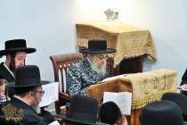 🌴בצל הקודש🌴
רבינו שליט"א ביי אמירת איכה ליל תשעה ב