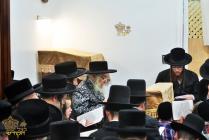 🌴בצל הקודש🌴
רבינו שליט"א ביי אמירת איכה ליל תשעה ב