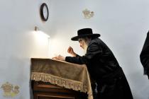 🌴בצל הקודש🌴
רבינו שליט"א ביי אמירת קינות יום תשעה 