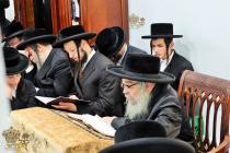 🌴בצל הקודש🌴
רבינו שליט"א ביי אמירת קינות יום תשעה 