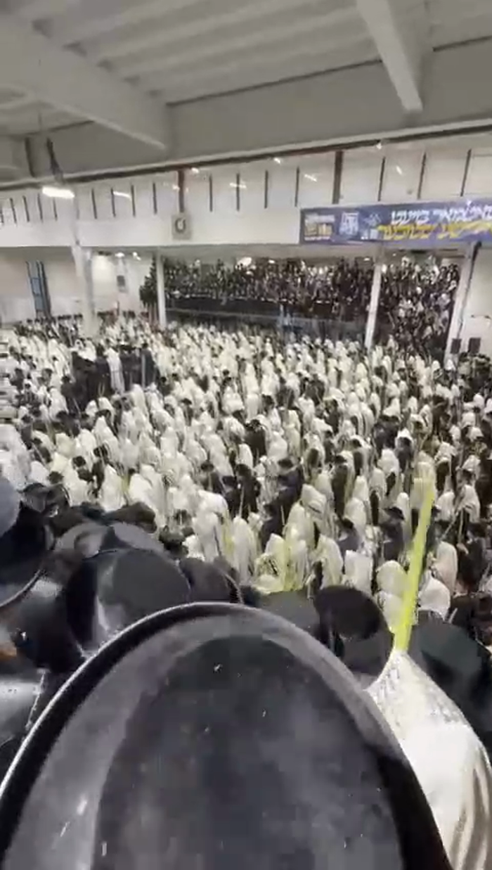 יום הושענא רבה

אמירת הלל, עבודת הנענועים, ודרשת ה